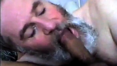 Bearded Daddy Suck and Swallow