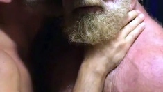 Muscular Daddies Intimately Kissing